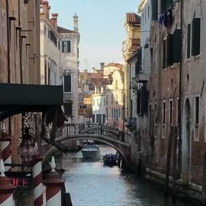 Meet your Posher, Jasmine